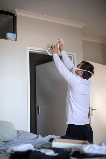Best Mold Damage Restoration  in Prairie Grove, IL