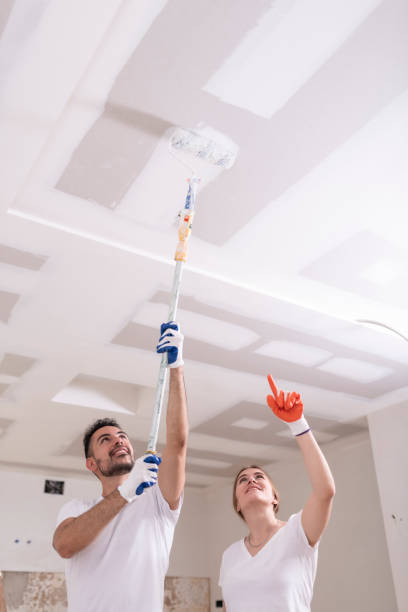 Best Industrial Mold Remediation  in Prairie Grove, IL