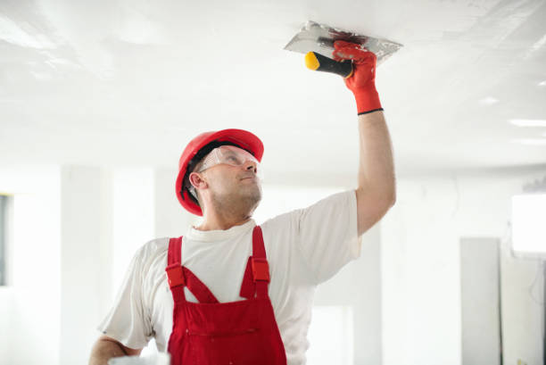 Dehumidification Services in Prairie Grove, IL