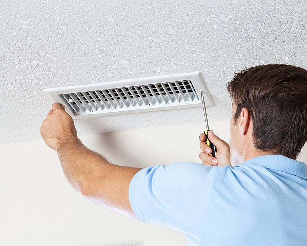 Best Mold Prevention Services  in Prairie Grove, IL