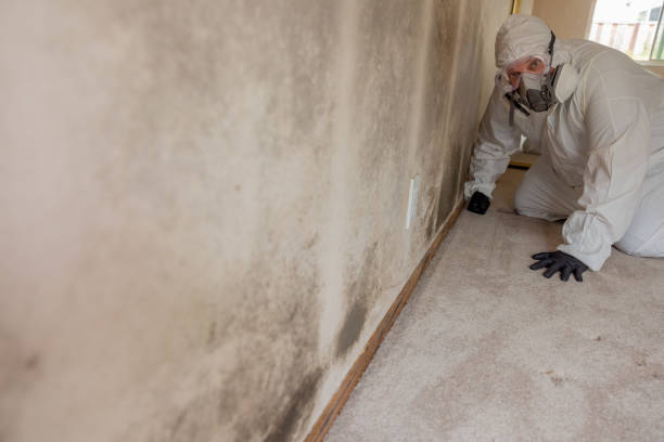 Best HVAC Mold Inspection and Cleaning  in Prairie Grove, IL